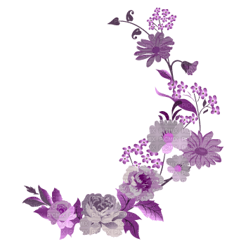 MMarcia flores fleurs deco - PNG gratuit