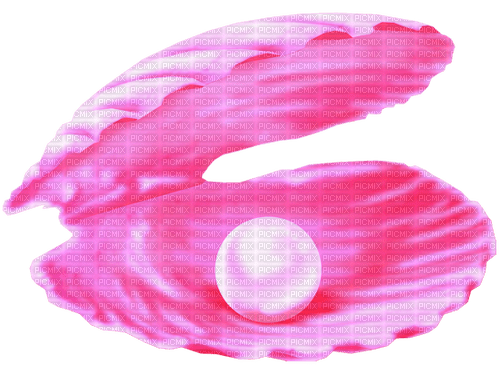 Seashell.Pearls.Pink.White - zdarma png