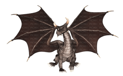 lohikäärme, dragon - PNG gratuit