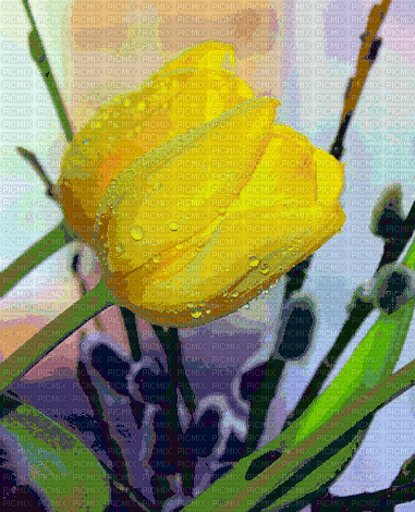 FLOWERS - GIF animasi gratis