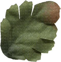 leaf green - nemokama png