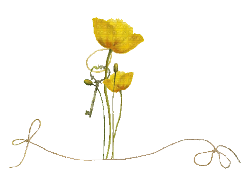 Flowers - Besplatni animirani GIF