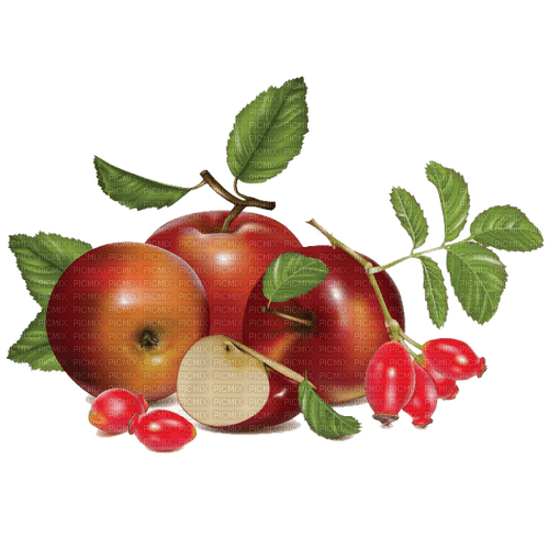 apfel apple milla1959 - gratis png