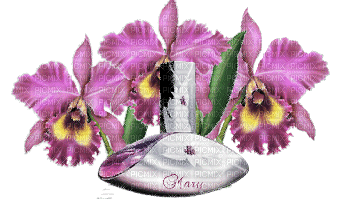 orchidee - Gratis geanimeerde GIF