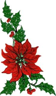 MMarcia gif flores Natal fleur noel - GIF animado grátis