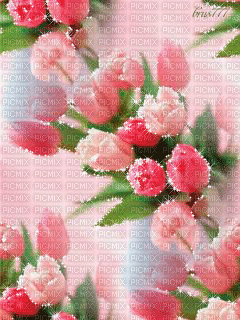 Flores - Ingyenes animált GIF