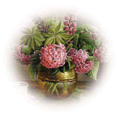 flower-vase-pink - Free PNG