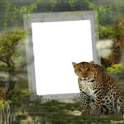 fond leopard - 無料png