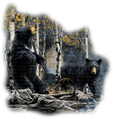 Kaz_Creations Animals Animal  Paysage Scenery Bears - 無料png