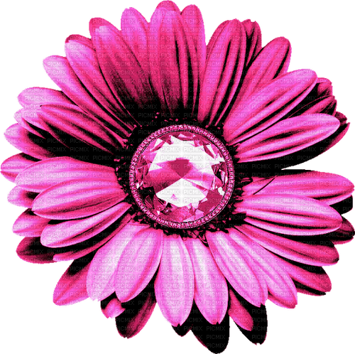 Flower.Pink - png grátis