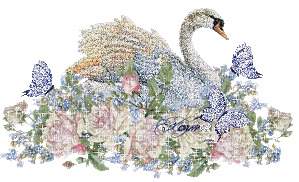 cisne swan glitter - GIF animasi gratis