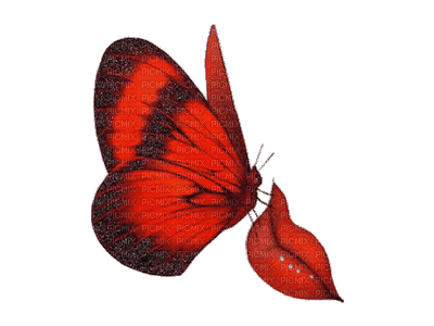 бабочка,губы - Bezmaksas animēts GIF