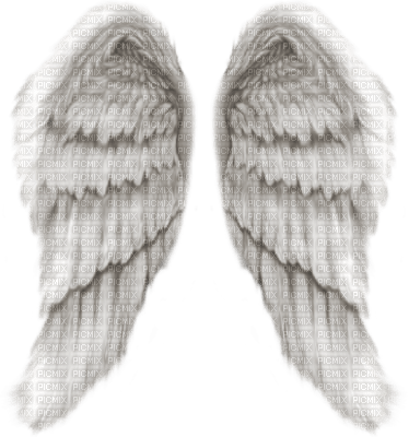 cecily-ailes ange tube - nemokama png