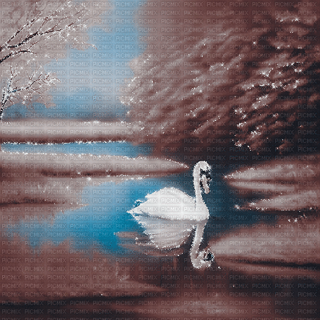 kikkapink autumn background swan lake - Ingyenes animált GIF