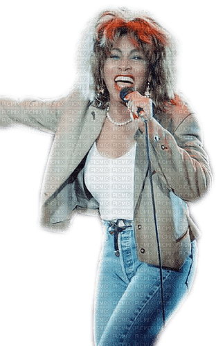 Tina Turner - png gratis - PicMix