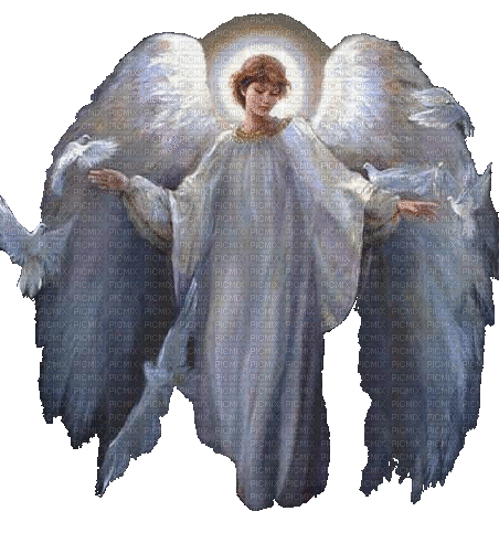 anges colombes - GIF animé gratuit
