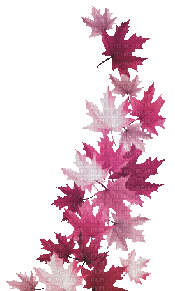 soave deco autumn animated leaves branch pink - GIF animé gratuit
