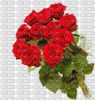 Bouquet de roses rouge - фрее пнг