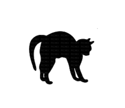 Cat Silhouette 5 - δωρεάν png