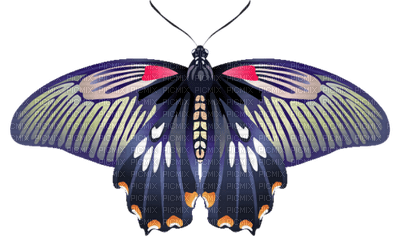 Mariposa nocturna - 免费PNG