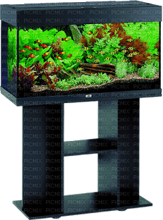 aquarium - png gratis