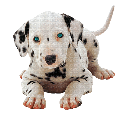 Kaz_Creations Animated Dog Pup - Δωρεάν κινούμενο GIF