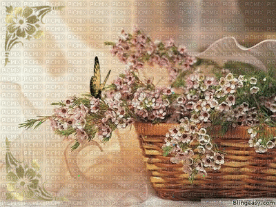 MMarcia gif flores borboleta fundo - GIF animado grátis