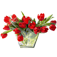 bloemen - Besplatni animirani GIF