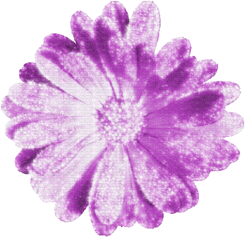 Flower.Purple.Animated - KittyKatLuv65 - Gratis animerad GIF