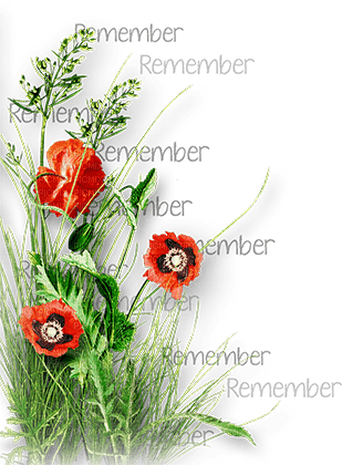 soave deco flowers poppy corner branch text - png grátis