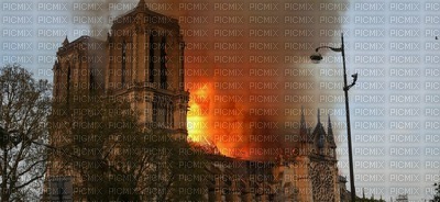 cathédrale Notre Dame à paris - gratis png