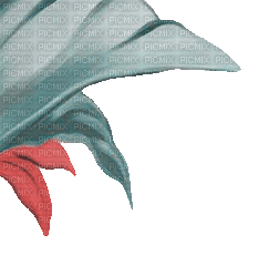 soave deco tropical summer leaves palm corner - 免费动画 GIF