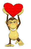 małpka - Animovaný GIF zadarmo