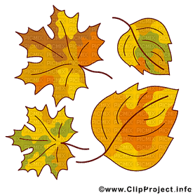 Herbst automne autumn - Ücretsiz animasyonlu GIF