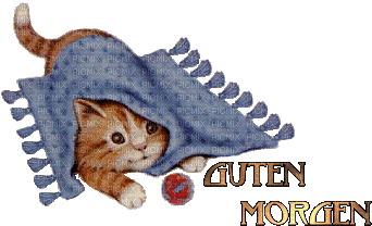Guten Morgen Kätzchen - Bezmaksas animēts GIF