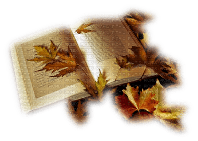 autumn book - zadarmo png