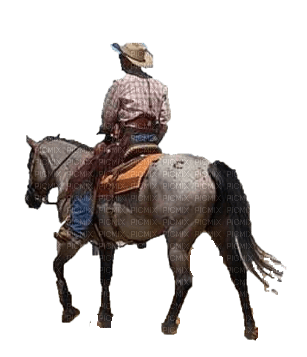 cowboy - kostenlos png