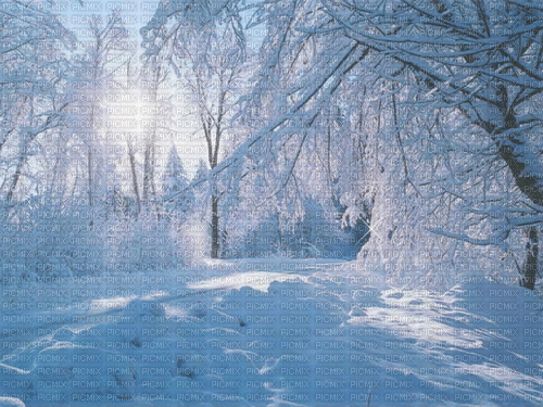 Background Winter Landscape - GIF animé gratuit