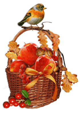 fruit basket bp - png grátis