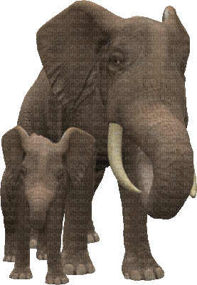 éléphant - Animovaný GIF zadarmo