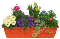 Blumenkasten - Gratis geanimeerde GIF