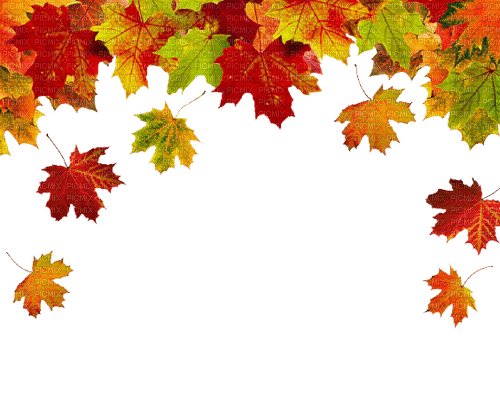 leaves blatt fall autumn feuille leaf - ücretsiz png