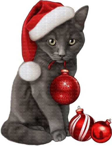 christmas cat - gratis png