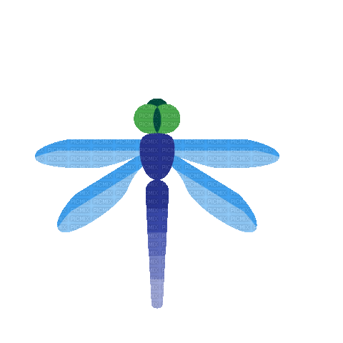 Insect Natura - GIF animado gratis