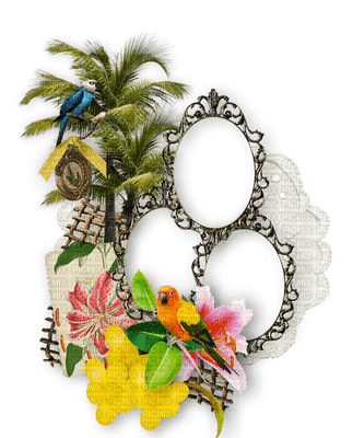 Kaz_Creations Deco Frames Parrots Flowers - kostenlos png