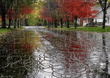 pioggia d'autunno - GIF เคลื่อนไหวฟรี