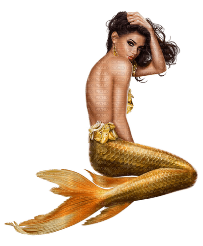 meerjungfrau mermaid - фрее пнг