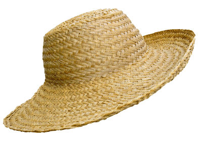 MMarcia chapéu palha  chapeau  sombrero - безплатен png