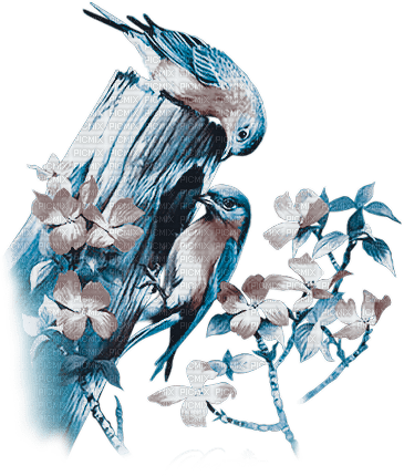 soave deco spring bird branch flowers blue brown - 無料png