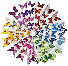 VanessaVallo _crea- round butterfly's - PNG gratuit